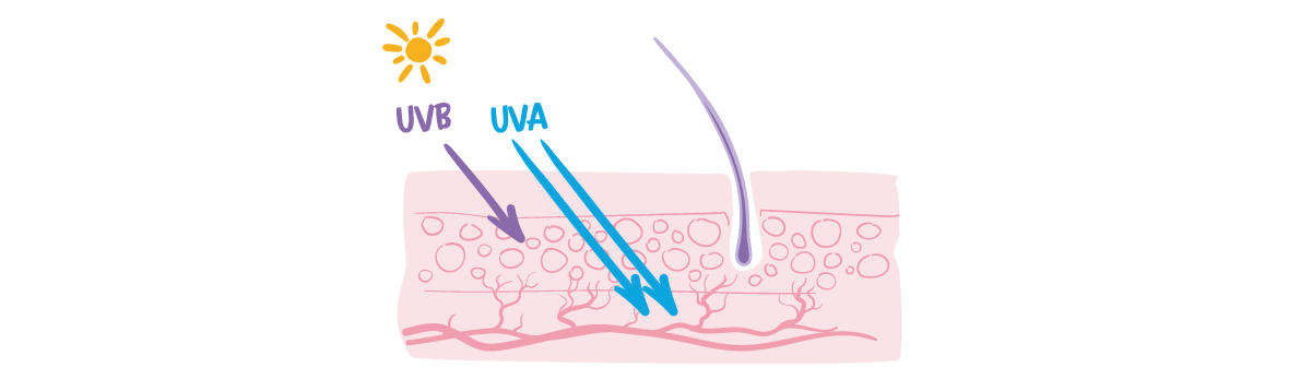 uvb uva