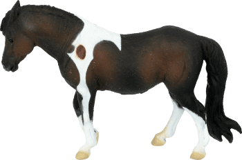 COLLECTA,figurka koń Dartmoor Hill Mare,przód