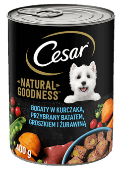 CESAR,karma pełnoporcjowa mokra dla dorosłych psów z kurczakiem,przód