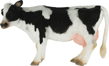 COLLECTA,zabawka figurka krowa rasy fryzyjskiej,przód