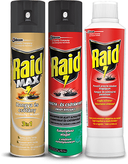 Raid, spray na muchy i komary, 400 ml